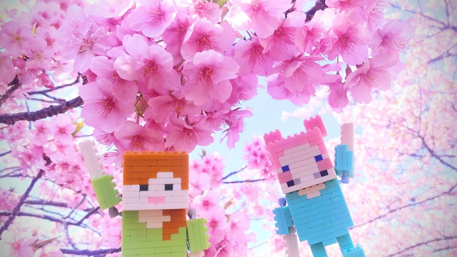 にんげんの世界はサクラに種類があって感動。春は散歩が楽しい。